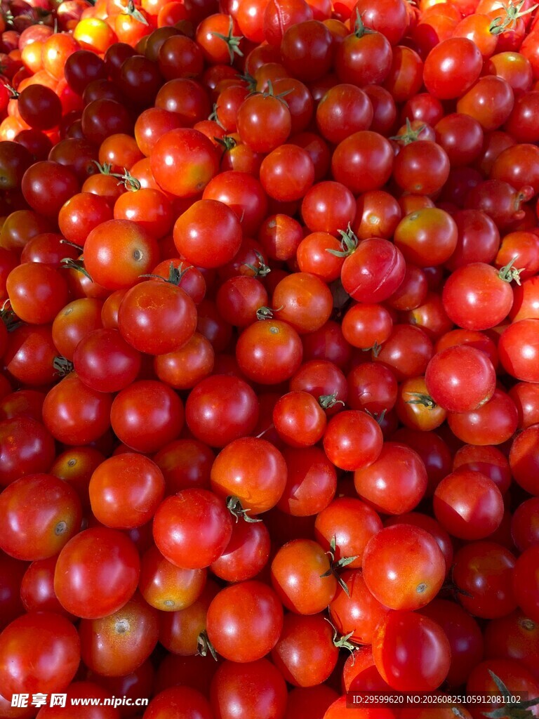 饱满鲜红的小番茄堆