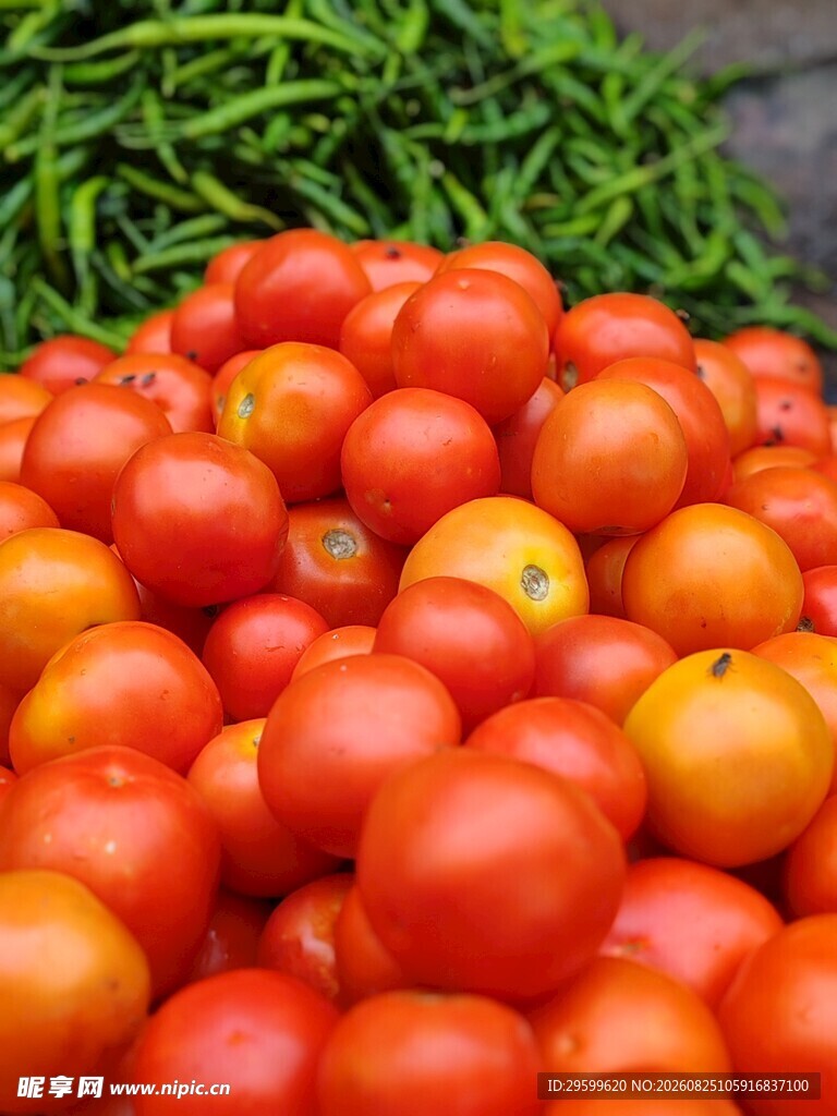 新鲜番茄 