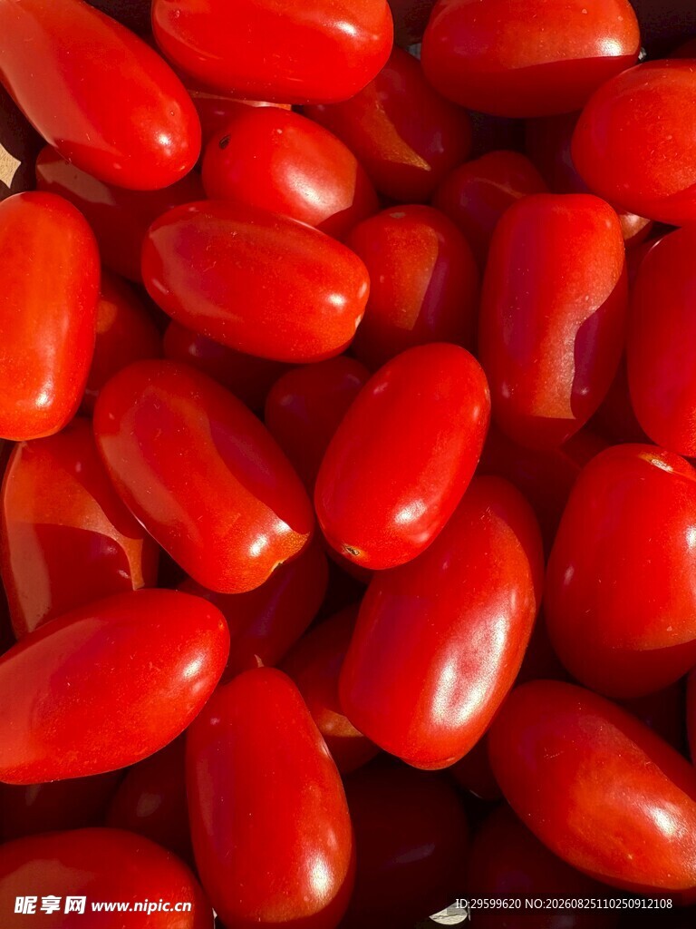 饱满红圣女果特写