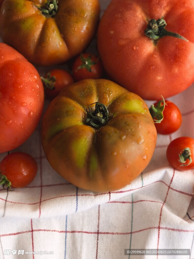 多彩番茄摆于格子布上