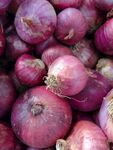 一堆紫皮洋葱
