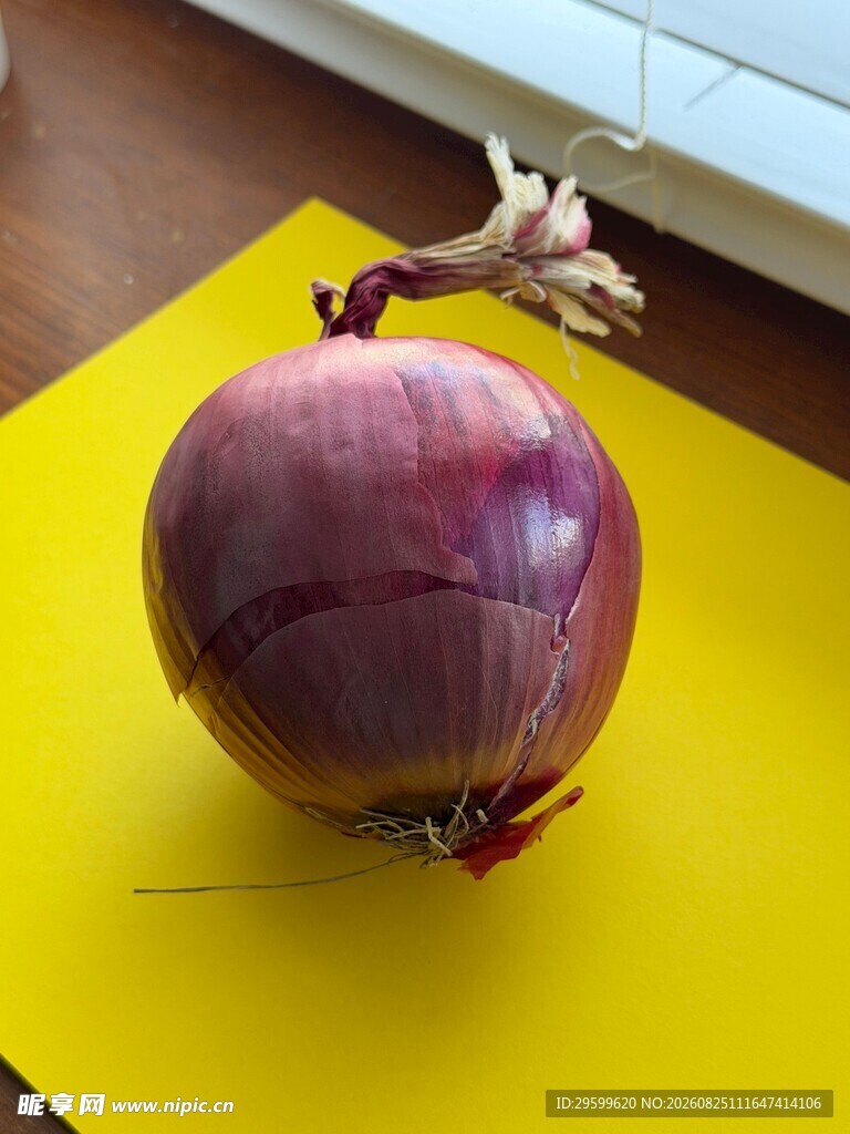 黄板上的新鲜紫皮洋葱