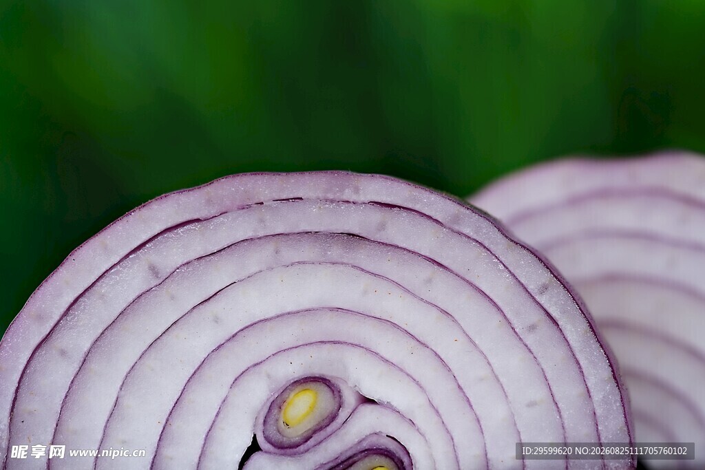 紫洋葱切片特写