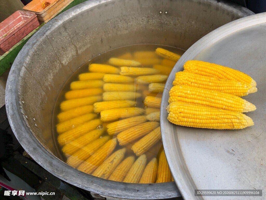 大锅中煮着鲜嫩玉米棒