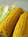 新鲜甜玉米
