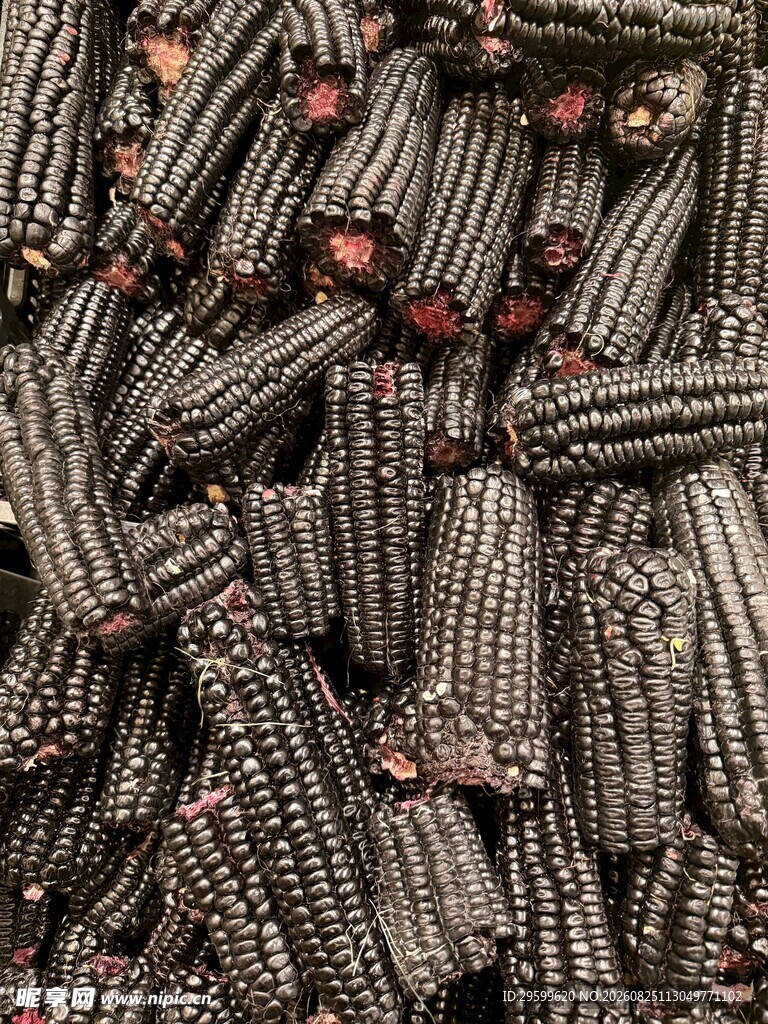 黑玉米棒特写