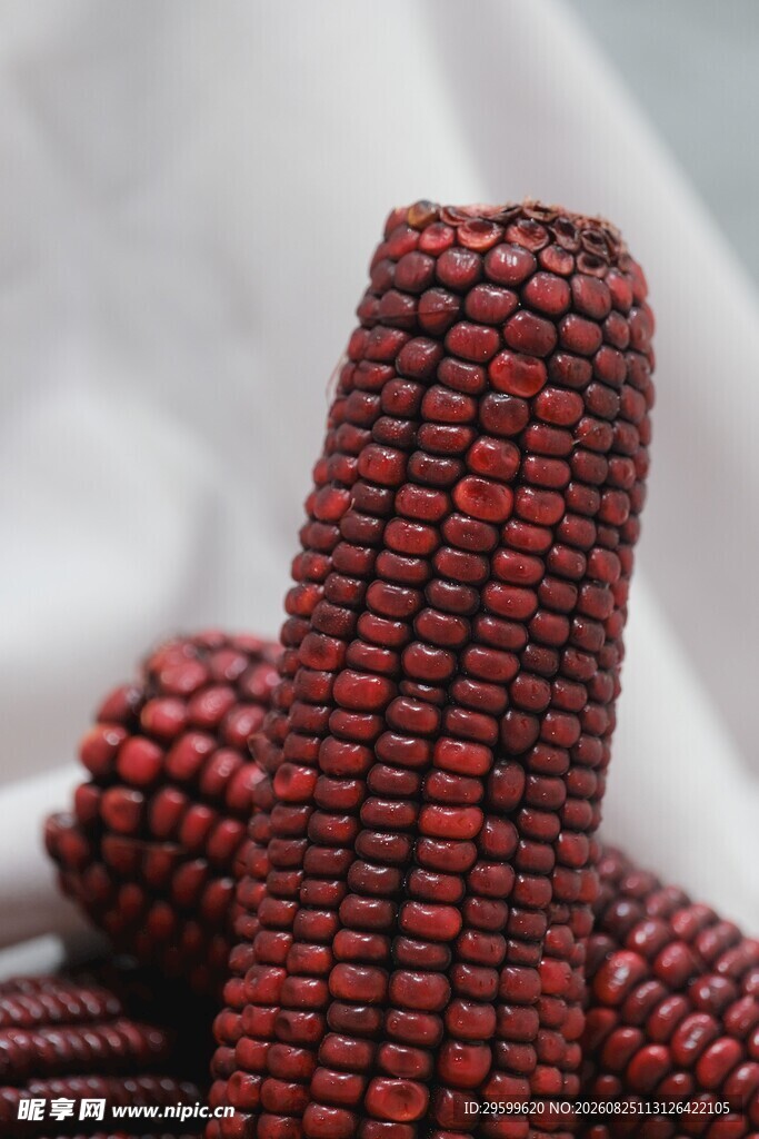 紫黑色玉米特写