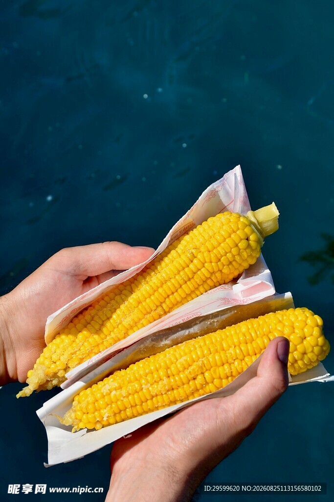 手中鲜玉米 