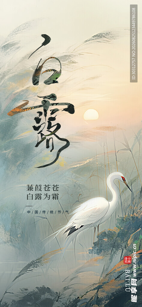 白露时节白鹭图