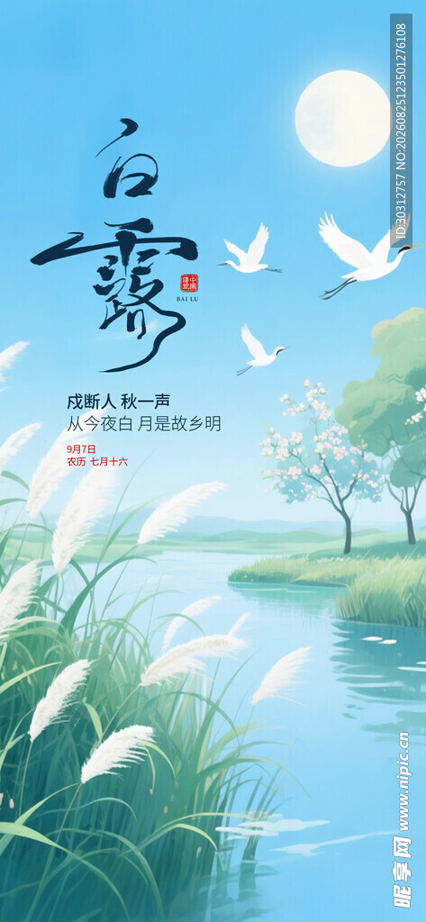 月夜湖畔飞鸟芦苇美景