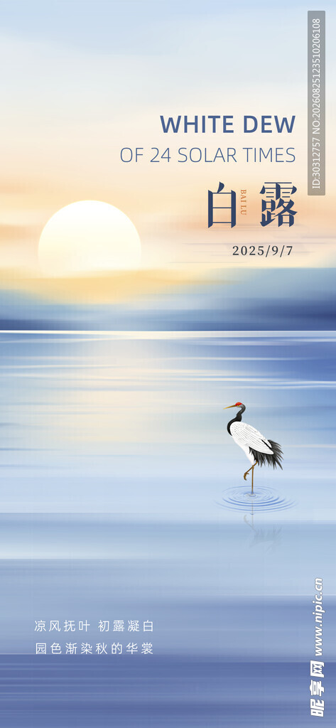 海边日落时的白鹭