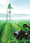 春茶上市