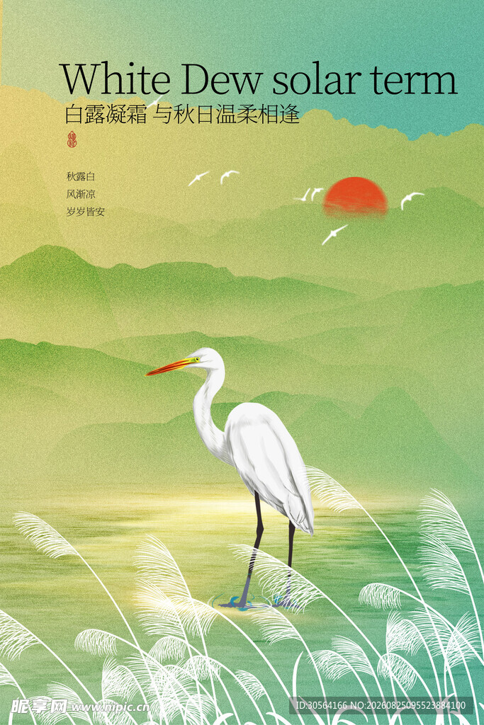 白鹭伫立湿地白露节气海报