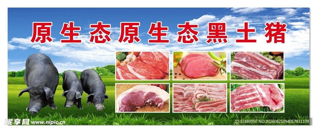 原生态黑猪肉展示