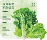 羽衣甘蓝海报