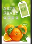 纽荷尔脐橙 源自自然美味
