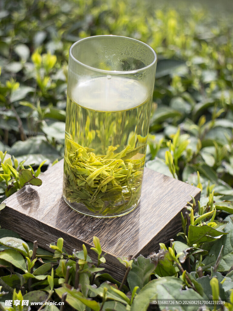 泡开绿茶高清摄影图