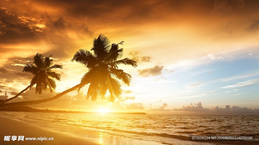 夕阳下的海滩与椰树美景