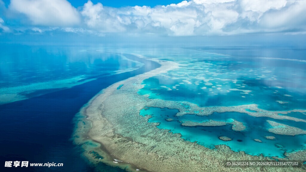 美丽珊瑚礁海景