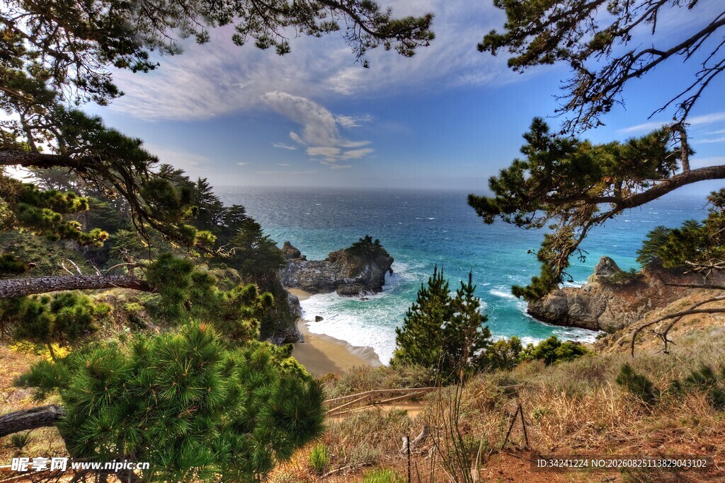 海岸山林美景