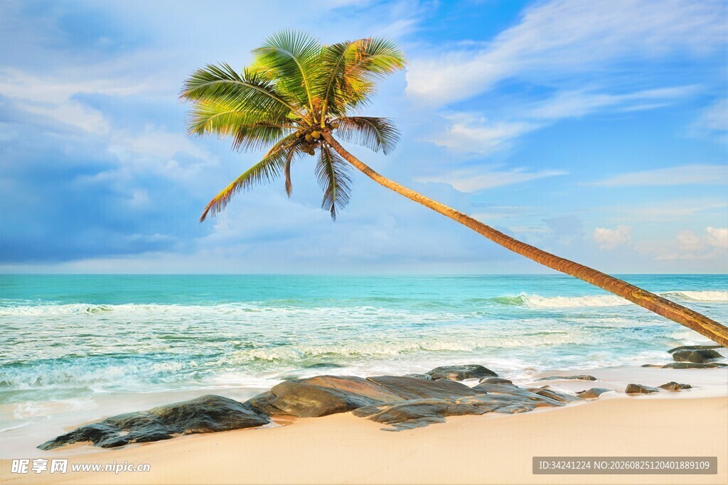 沙滩椰树碧海蓝天美景