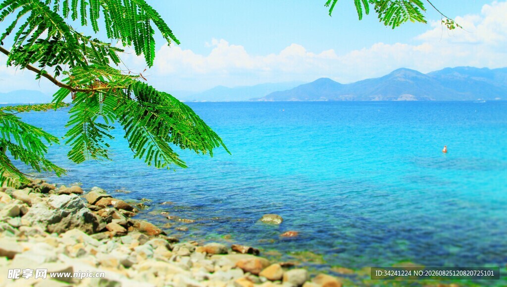 美丽海滨风光