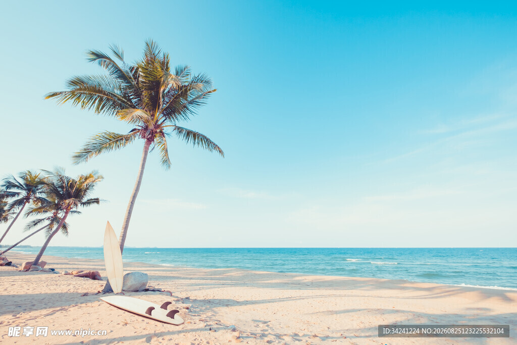 海边椰树沙滩美景