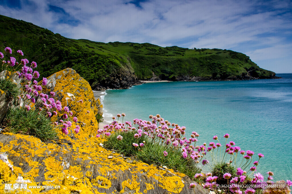 海岸繁花美景