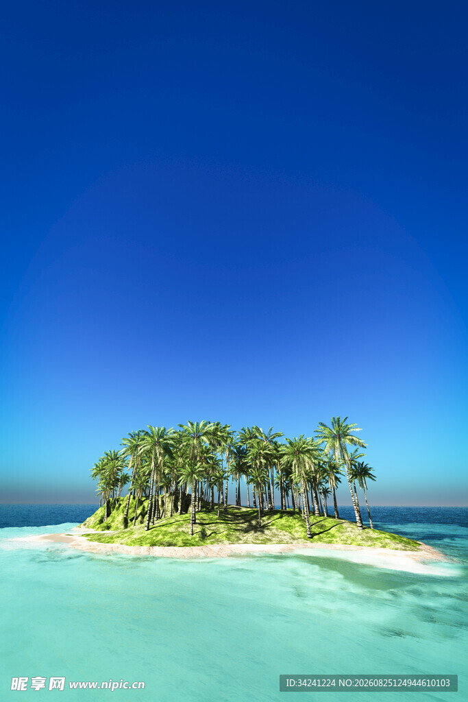 美丽海岛碧海蓝天椰林