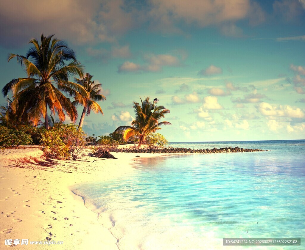 梦幻海滨椰林美景