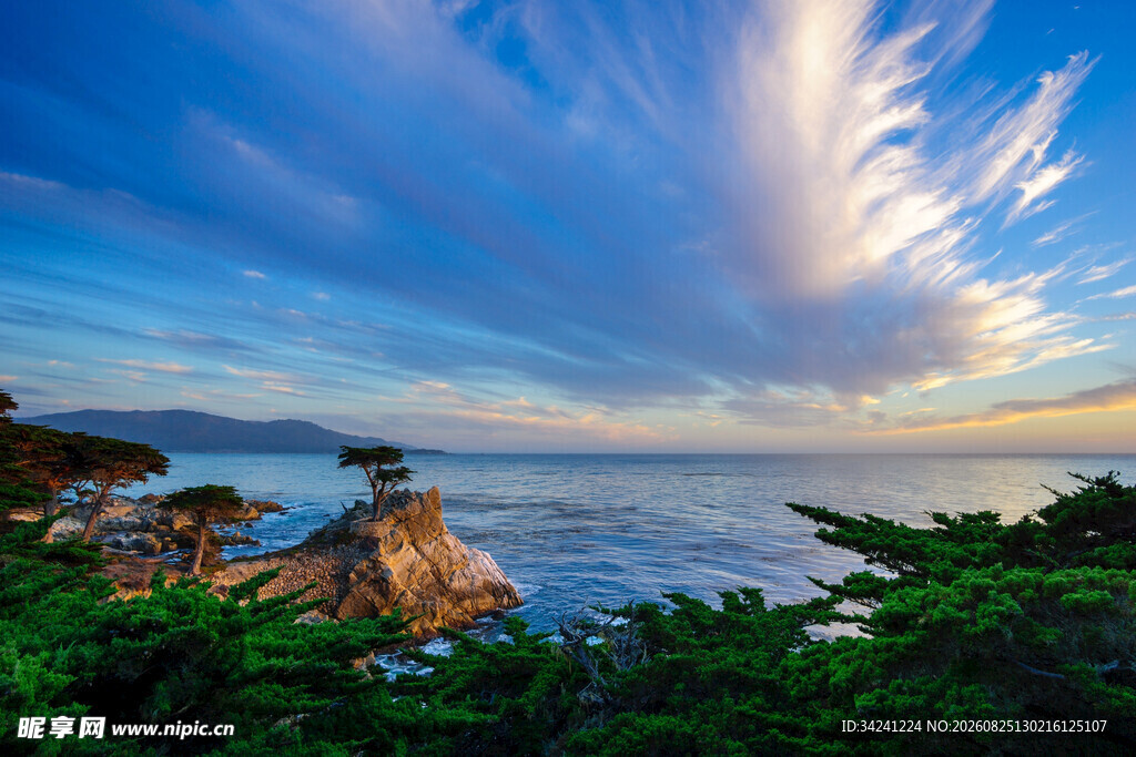 海边日落美景岩石绿植相伴