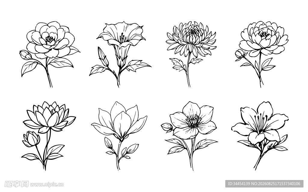 线绘花卉素材