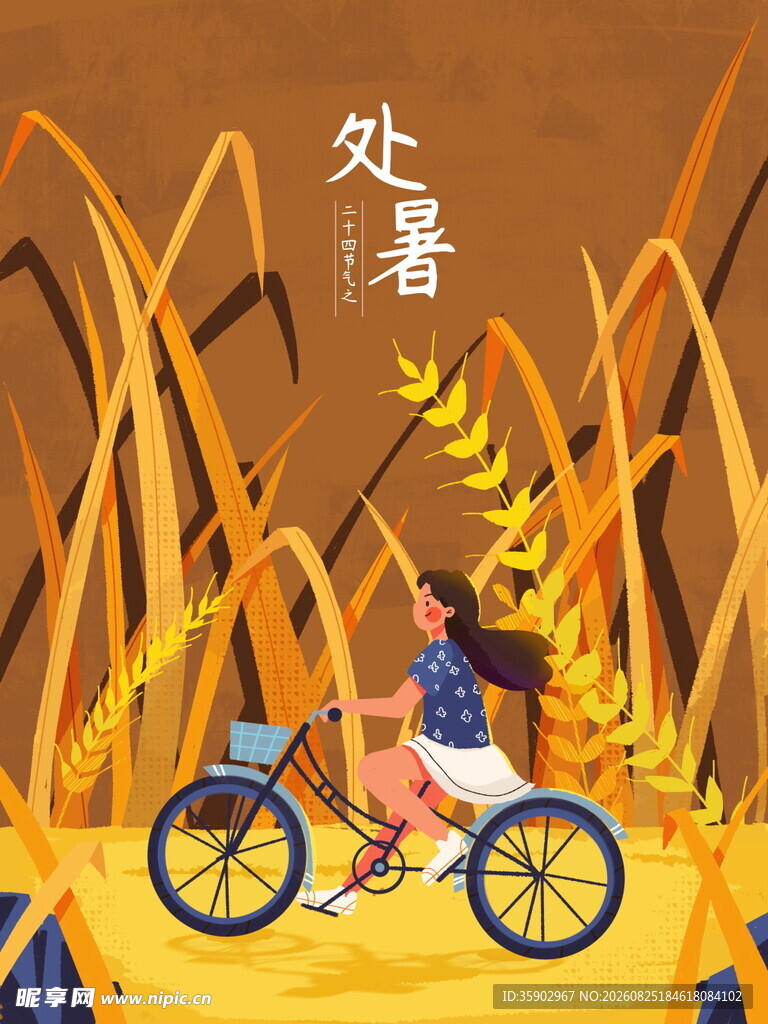 处暑时节女孩骑车穿行麦田