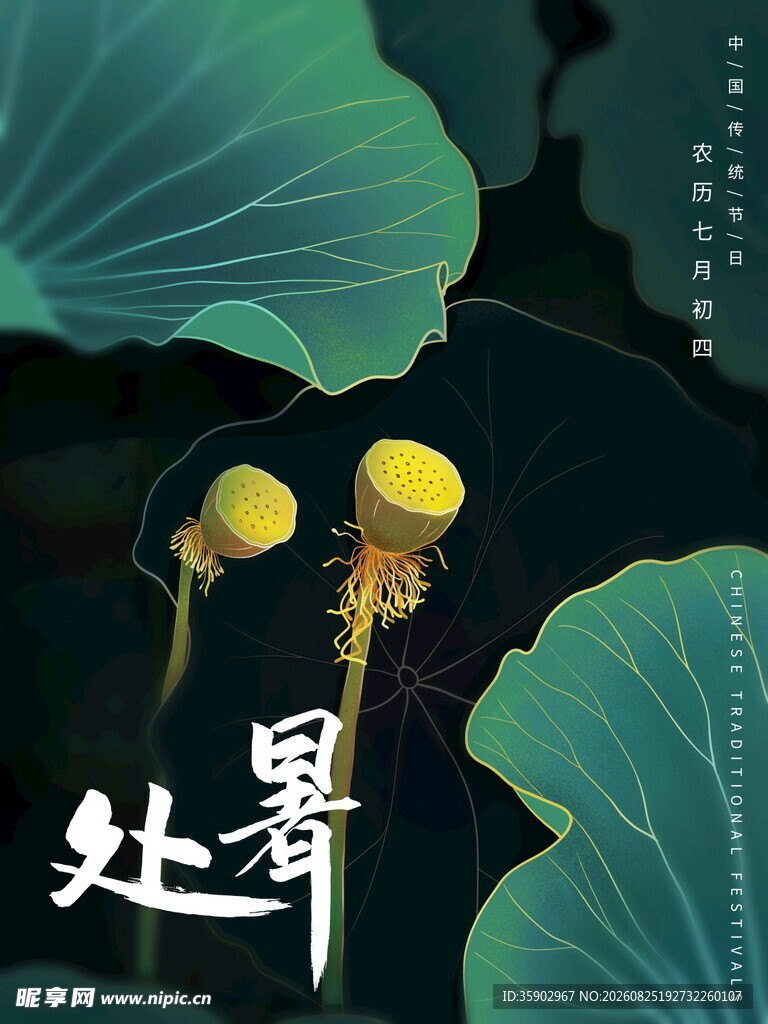 处暑时节荷花荷叶景致