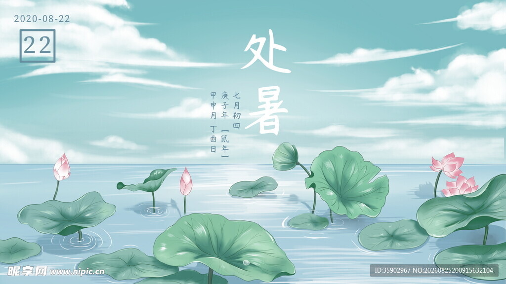 处暑时节荷塘美景