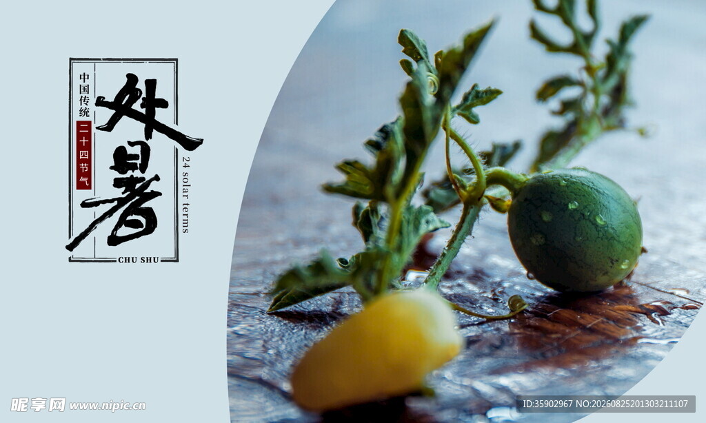 处暑展板中式静物柠檬青柠与枝叶