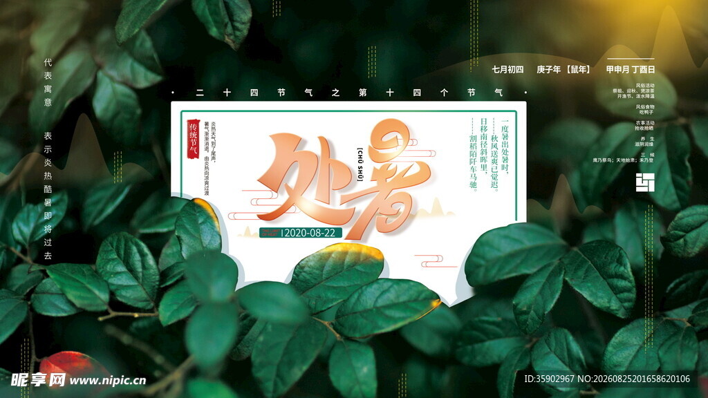 处暑彩色画作置于绿植间