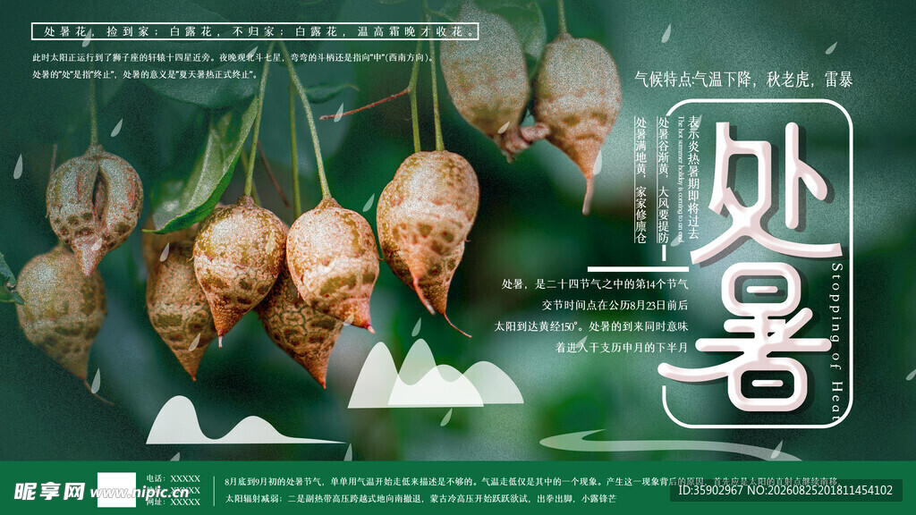 处暑时节展板