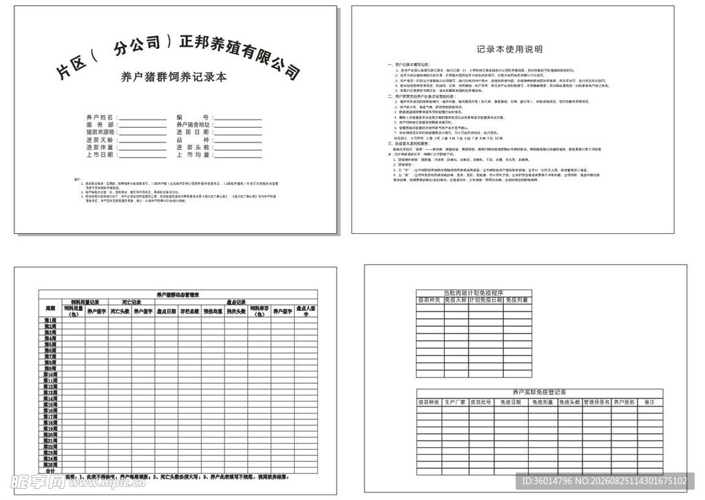 财务报表展示