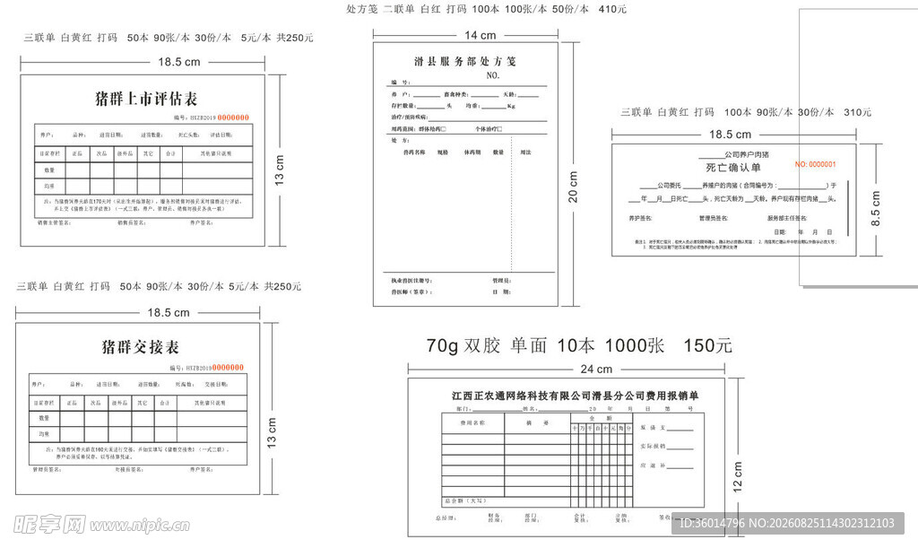 财务报表模板展示