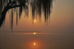 夕阳下垂柳映于湖面美景