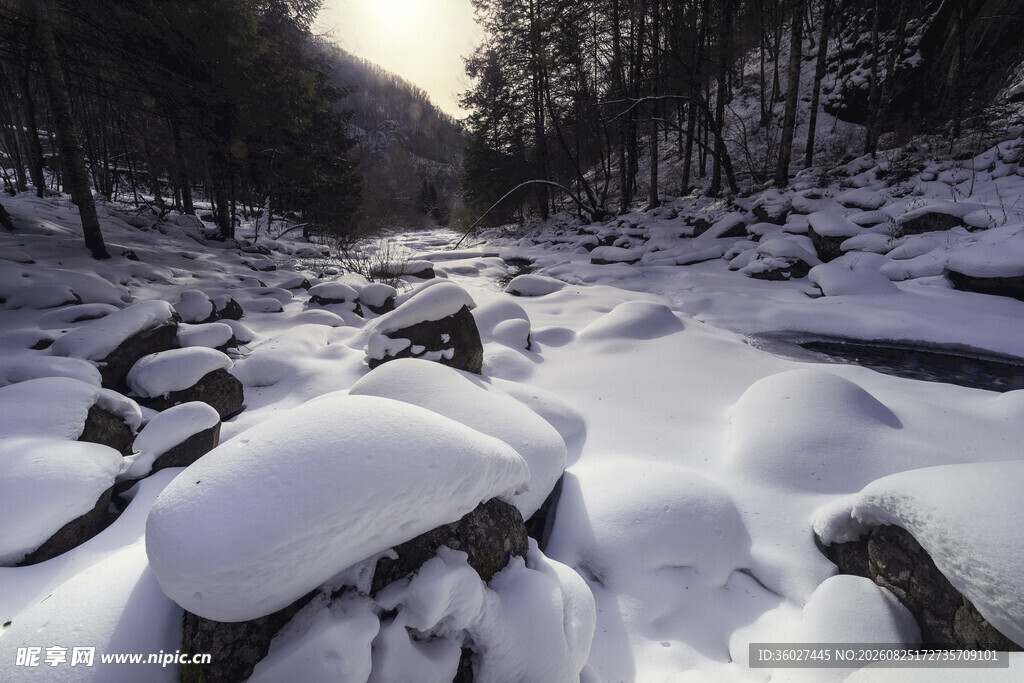 冬日雪覆溪流山林美景