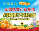 黄桃特价大卖