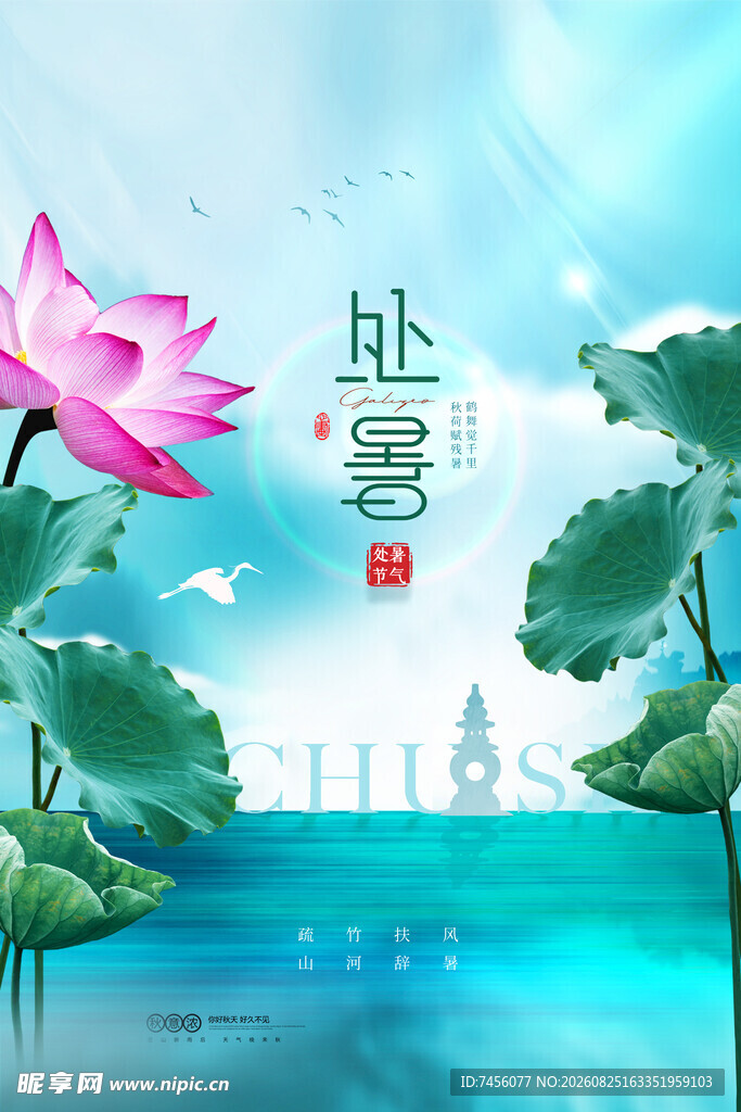 夏日莲花处暑风景图