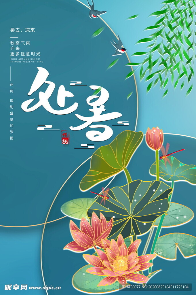 处暑时节荷花绽放美景