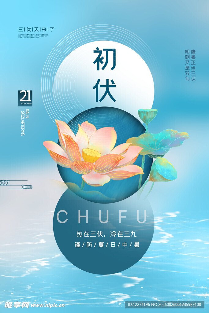 初伏荷花插画海报