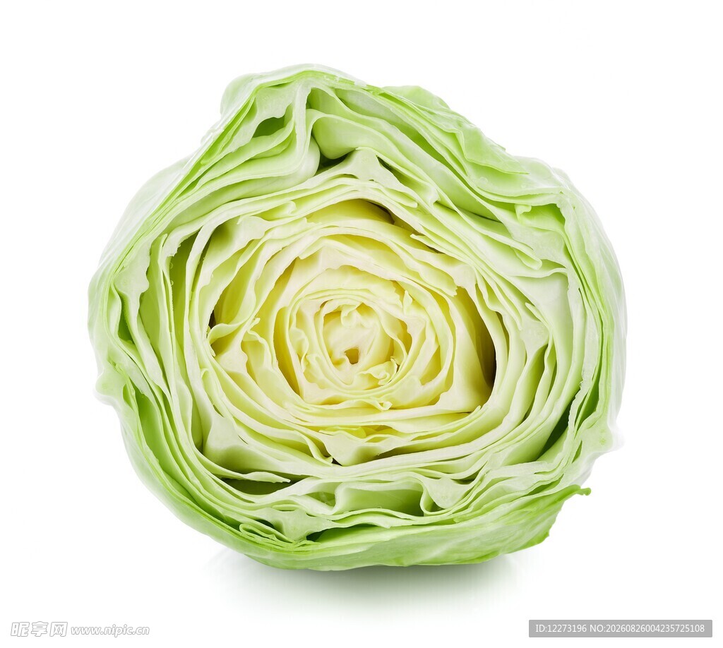 新鲜圆白菜