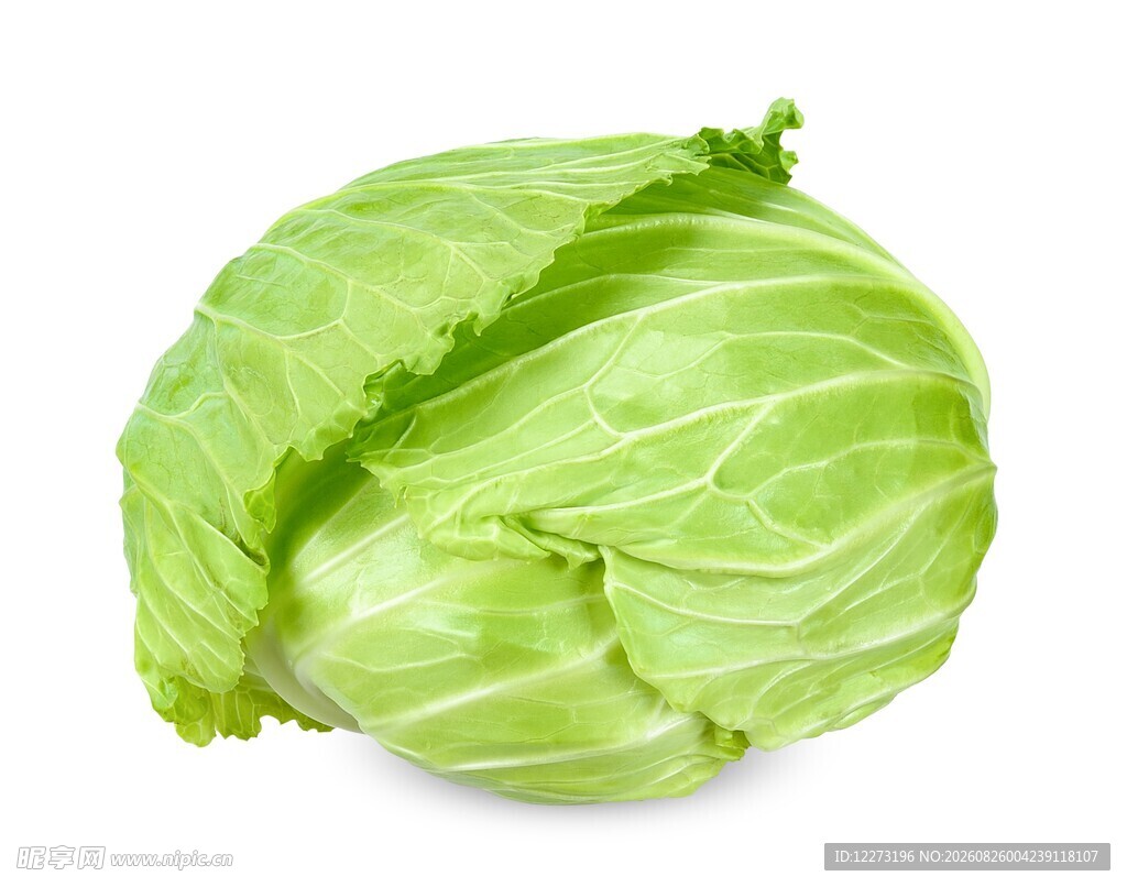 新鲜圆白菜