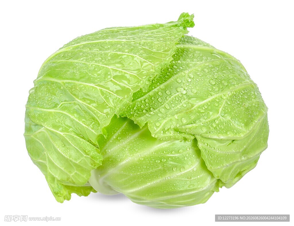 新鲜圆白菜