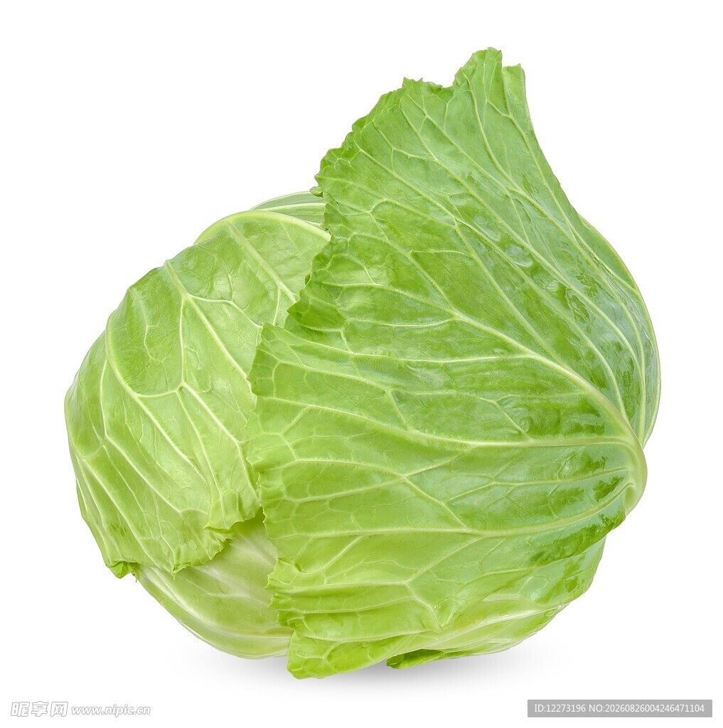 新鲜圆白菜
